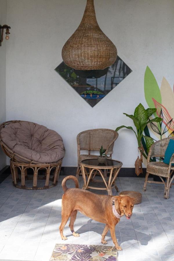 Marshmallow Homestay Ahangama Εξωτερικό φωτογραφία