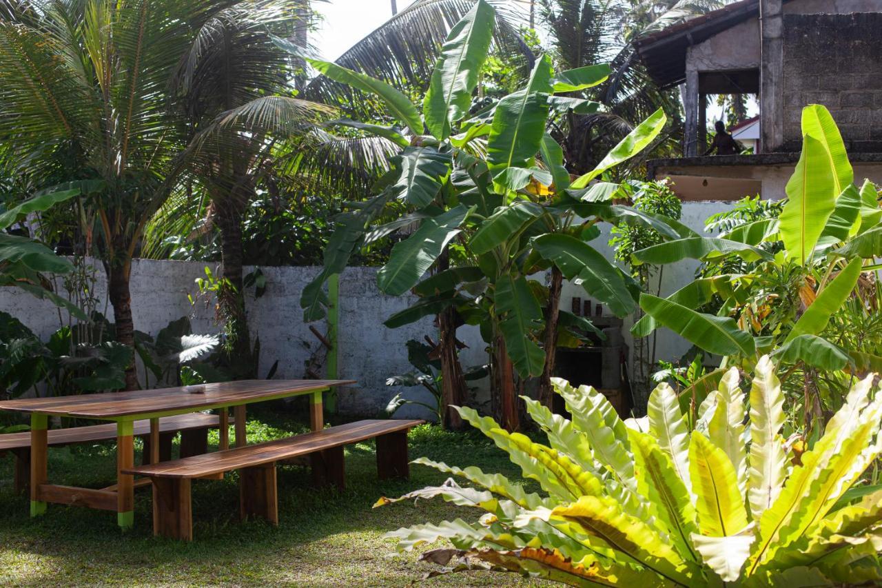 Marshmallow Homestay Ahangama Εξωτερικό φωτογραφία