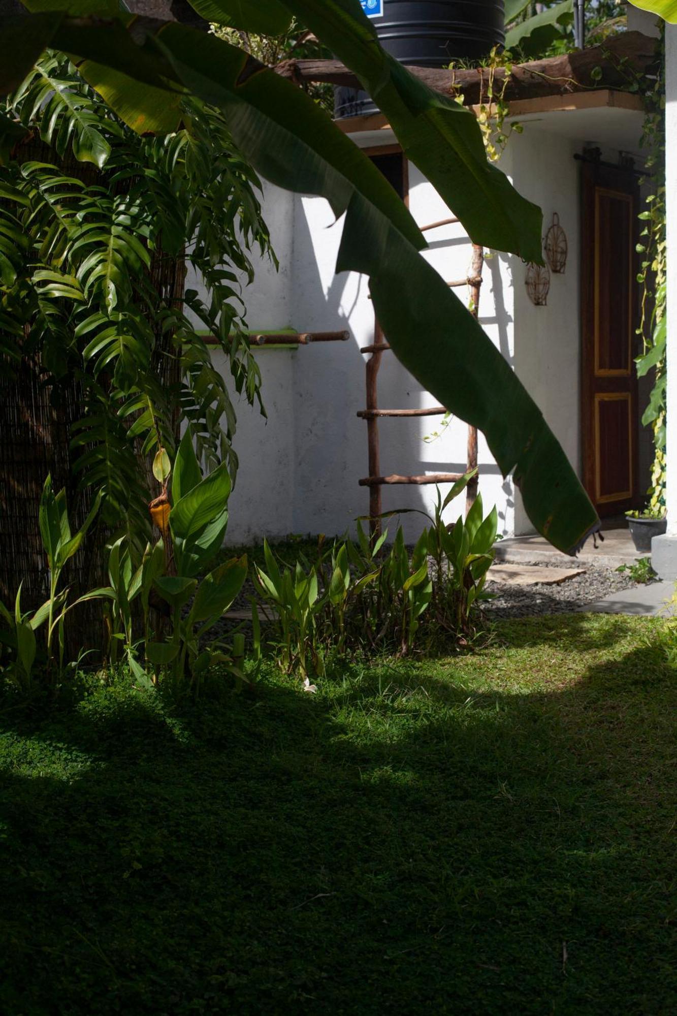 Marshmallow Homestay Ahangama Εξωτερικό φωτογραφία